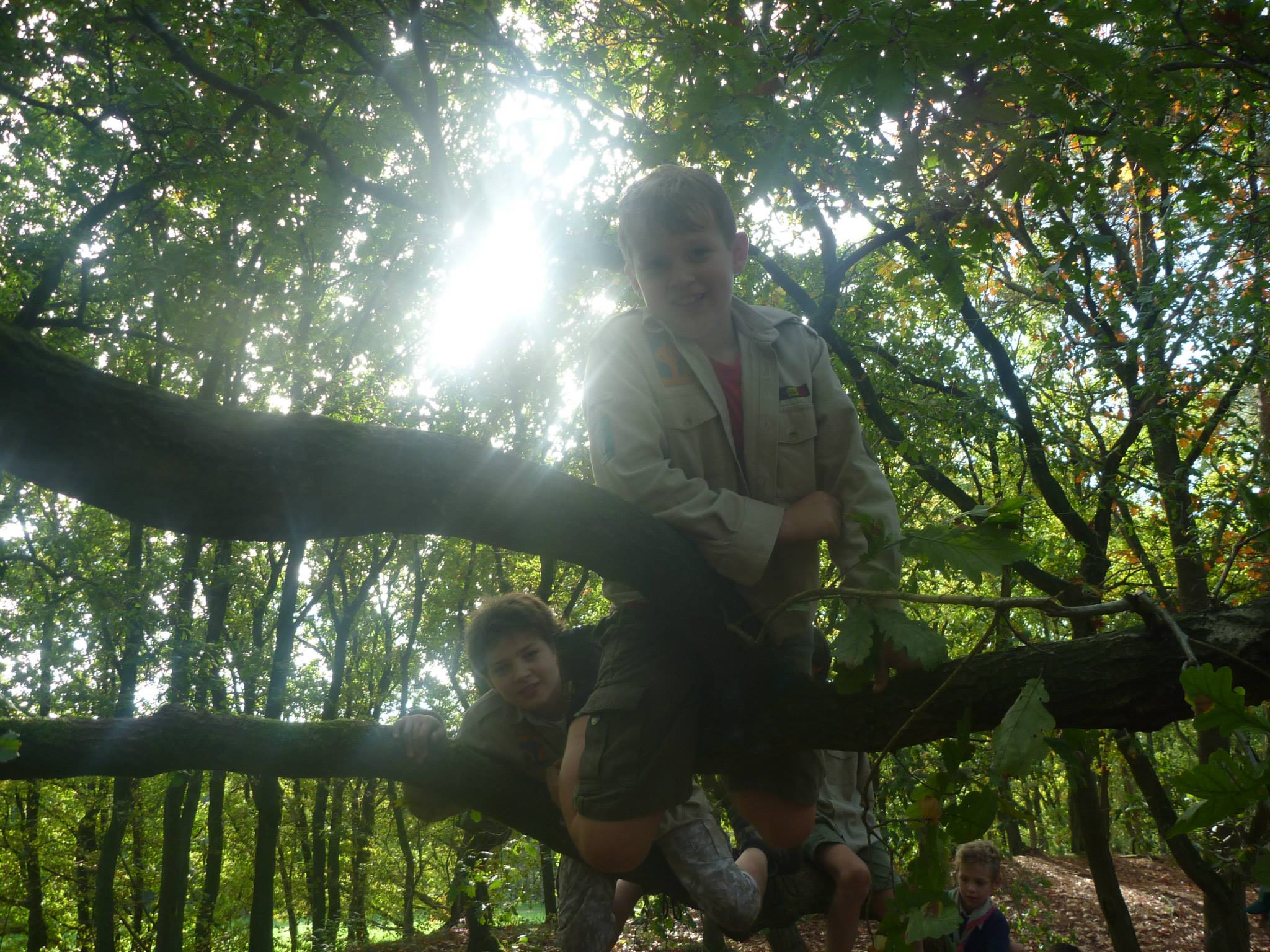 Sint-Martinus den XIIde - Weekend Welpen Kiewit '14